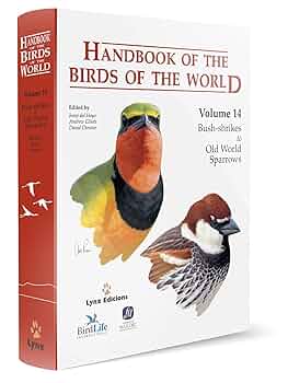 Handbook of the Birds of the World. Volume 14: Bush-shrikes